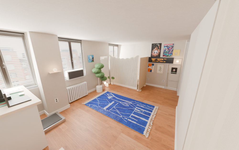 Wide shot with slat divider and paintings